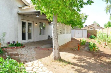 2906 Backyard