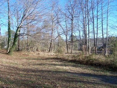 00 Luke Powell Rd NW, Dalton, GA 30720 - photo 4