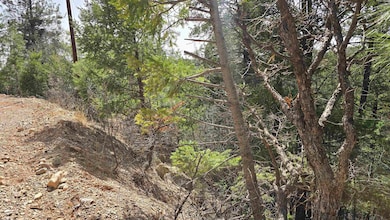 Lots2,3,9,10 Henry Summit Dr unit 23910, High Rolls, NM 88317 - photo 4