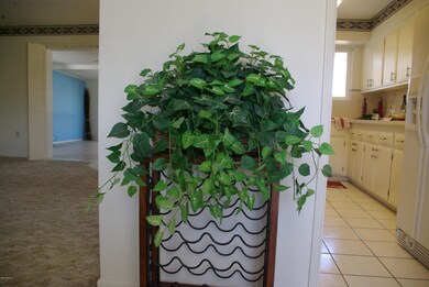 9956 W Peoria Ave, Sun City, AZ 85351 - photo 3