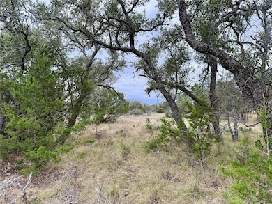 9455 County Road 189, Bangs, TX 76823 - photo 4