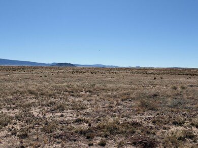Lot 1 unit Block 313 Unit 7, Rio Communities, NM 87002 - photo 2