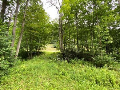 0000 Fox Creek Rd, Mars Hill, NC 28754 - photo 5