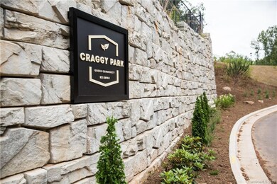 Craggy Park in West Asheville