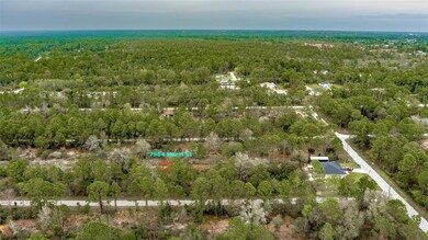 7904 Marin St, Sebring, FL 33872 - photo 2