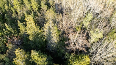 LOT 3 SCHOOLHOUSE-03