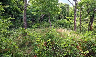 4102 E Walnut-20160716005 sm