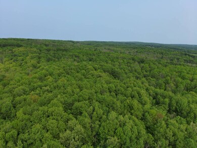 0000 Lynch Rd unit 4, Newport, NY 13416 - photo 2