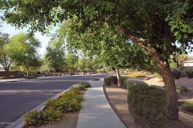CooleyTreelined street
