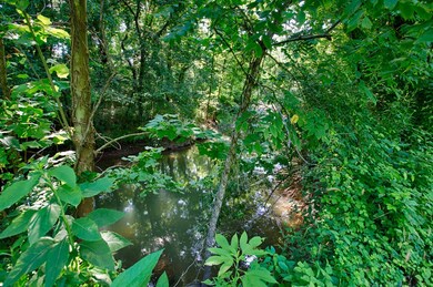 1 Shoal Creek Rd, Goodspring, TN 38460 - photo 7