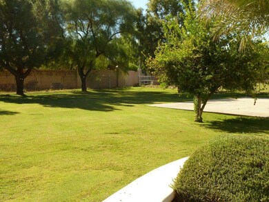Huge Backyard with Large Cement Pad