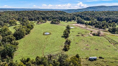 13610 Sr 105 N, Hector, AR 72843 - photo 5