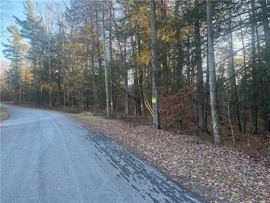 0 Thorpe Hill Rd, Masonville, NY 13838 - photo 7