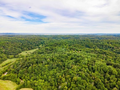 3045 Robert Skelley Rd, Columbia, TN 38401 - photo 2