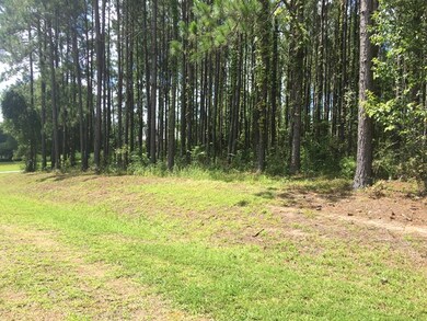 00 Drake Dr unit 56, Douglas, GA 31535 - photo 2