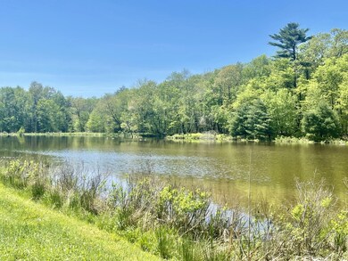 Walk to lake