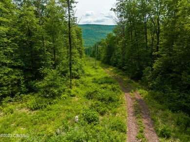 2298 Upper Rd, Shamokin, PA 17872 - photo 2