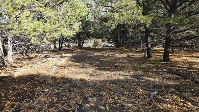 126 Cedar Ridge Rd unit 2, Mosca, CO 81146 - photo 5