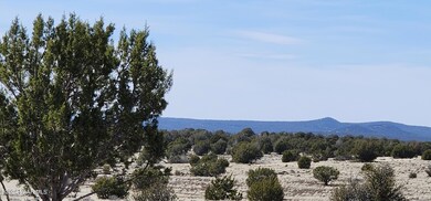 639 Westwood Ranch, Ash Fork, AZ 86320 - photo 3