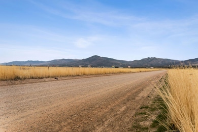 1565 W Sunflower Ln, Fillmore, UT 84631 - photo 3