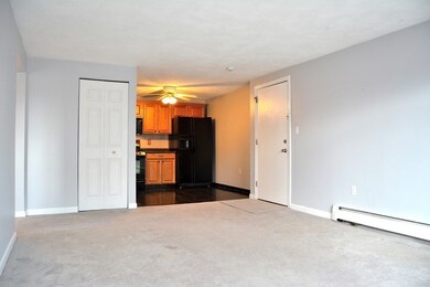 18 Kenmar Dr unit 161, Billerica, MA 01821 - photo 5