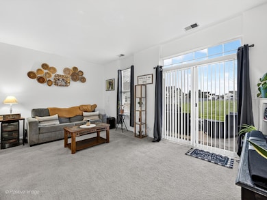 4533 Garritano St unit D, Yorkville, IL 60560 - photo 5