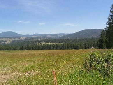 Pasture 2