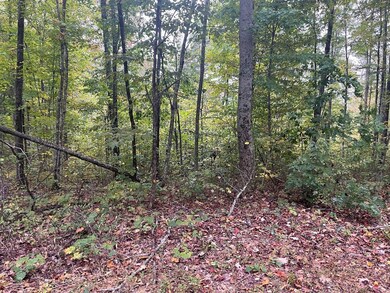 0 Macedonia Rd, Cookeville, TN 38506 - photo 3