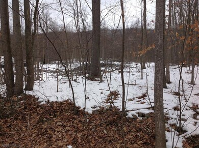 146 Spruce Rd, Bedford, PA 15522 - photo 6