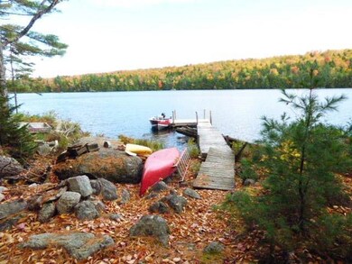 The dock complete with boat, canoes...