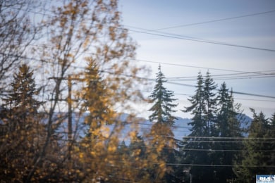 206 E Vashon Ave, Port Angeles, WA 98362 - photo 4