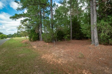 MCCORMICK LAND - SERPENTINE ©-