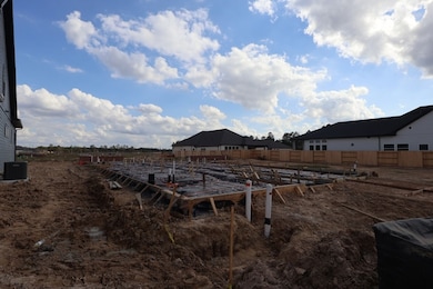 18607 Rumba Ct, Conroe, TX 77302 - photo 4