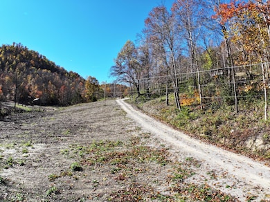 9996 Little Doe Creek Rd, Irvine, KY 40336 - photo 3