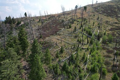 467 Depot Hill Rd, Boulder, MT 59632 - photo 7