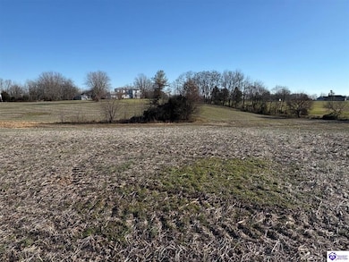 168 Owl Creek Dr, Vine Grove, KY 40175 - photo 3