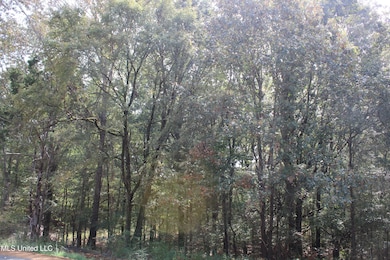 13 Old Barn Cove, Hernando, MS 38632 - photo 4