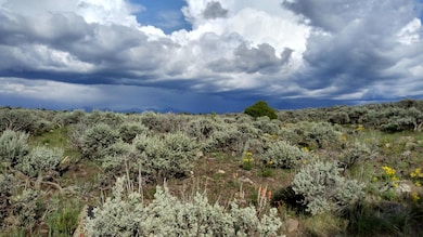 0 Palisades Ct N, San Luis, CO 81152 - photo 6