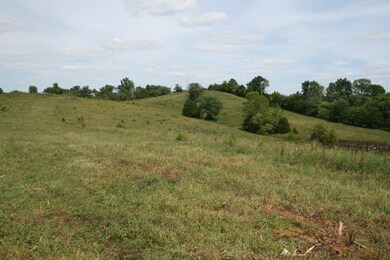 966 Manns Rd, Harrodsburg, KY 40330 - photo 5