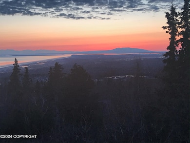 16655 Waterford Pointe Cir, Anchorage, AK 99516 - photo 2