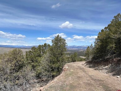 1601 Desperado Dr, Westcliffe, CO 81252 - photo 7