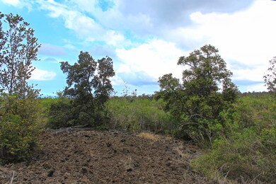 0 Prince Kuhio Blvd unit 722378, Ocean View, HI 96737 - photo 7