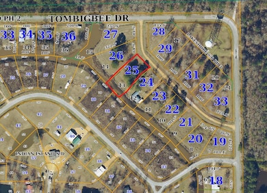 Lot 13