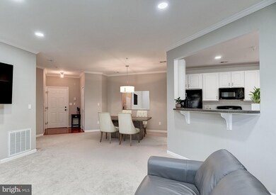 7270 Darby Downs unit H, Elkridge, MD 21075 - photo 6