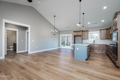 310 Ruby Rose Ridge, Jonesborough, TN 37659 - photo 6