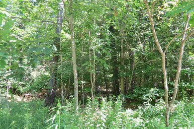 00 Birch Ln, Ludlow, VT 05149 - photo 5