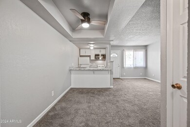 3141 E Cypress St unit 10, Phoenix, AZ 85008 - photo 6