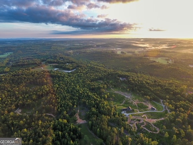 0 Roy Dean Rd unit 10564383, Buchanan, GA 30113 - photo 6