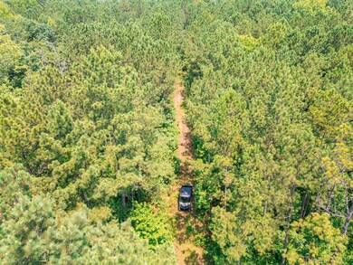 0 Highway 19 S unit 24061935, Thomaston, GA 30286 - photo 4