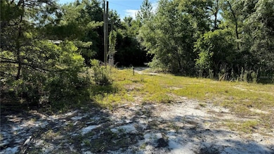 8045 NE 307th Ave, Fort Mc Coy, FL 32134 - photo 3